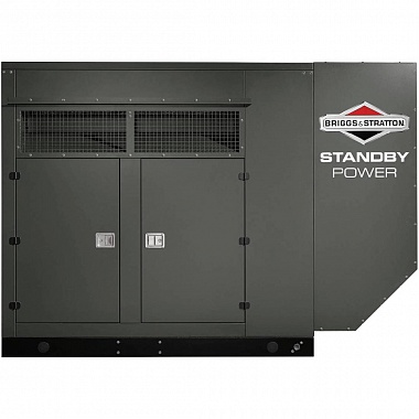 Генератор газовый Briggs & Stratton G1000 (100 кВт)